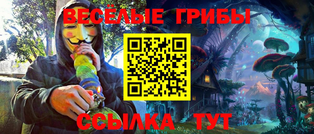 Галлюциногенные грибы Psilocybine cubensis  наркошоп  Вход с VPN  Углич  Псилоцибиновые грибы Magic Shrooms 