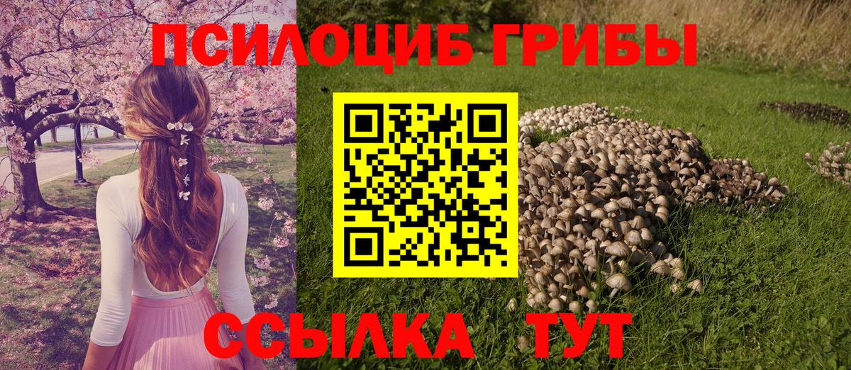 Галлюциногенные грибы прущие грибы Углич